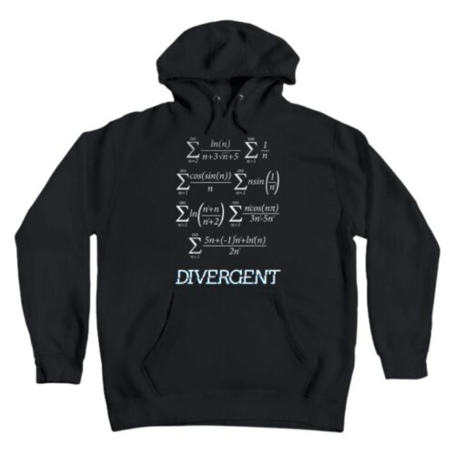 The Divergent Series Hoodie