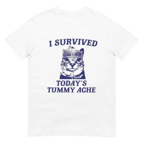 I survived today's tummy ache Shirt